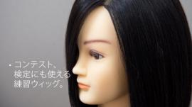 A-Type カットウィッグ 毛量maxタイプ 100%人毛 3体set ☆