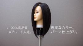 A-Type カットウィッグ 毛量maxタイプ (100%人毛)