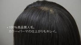 B Type 100%人毛 20体 + 送料無料!