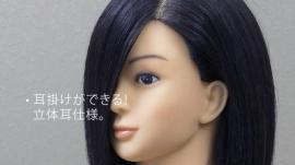 人気! B Type ウィッグ (100%人毛)! 10体セット + 送料無料!