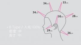 人気! B Type ウィッグ (100%人毛)! 10体セット + 送料無料!