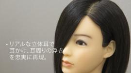 C Type 高級タイプ (100%人毛) 20体set 最安! 送料無料