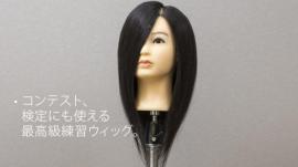 C Type カットウィッグ 高級タイプ (100%人毛) 10体set 送料無料!