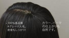 C Type カットウィッグ 高級タイプ (100%人毛) 10体set 送料無料!