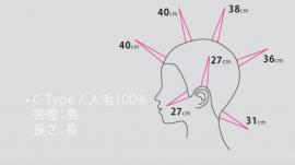 C Type カットウィッグ  高級タイプ (100%人毛) 3体set