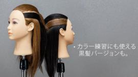 C2 Type 2色 カットウィッグ
(100%人毛) 20体set 送料無料!