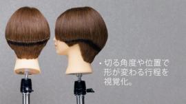 C2 Type 2色 カットウィッグ
(100%人毛) 10体set 送料無料!