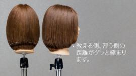 C2 Type 2色 カットウィッグ
(100%人毛) 5体set