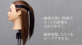 C2 Type 2色 カットウィッグ
(100%人毛) 3体set