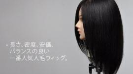 E* Type ウィッグ 人毛100% 
20体set + 送料無料!