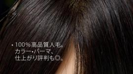 新E* Type カットウィッグ 人毛100% 
5体set