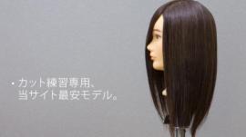 D-Type Cut練タイプ (人工毛/人毛) 最安! 20体set 最安〜!