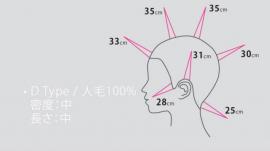 D-Type カットウィッグ Cut練タイプ (人工毛/人毛) 10体set