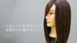 D-Type カットウィッグ Cut練タイプ (人毛+人工毛) 5体set