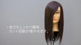 D-Type カットウィッグ Cut練タイプ (人毛+人工毛) 5体set