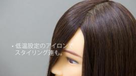 D-Type カットウィッグ Cut練タイプ (人毛/人工毛)