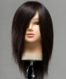 【お試しset】安価ウィッグ 2体set 
D+新E* type